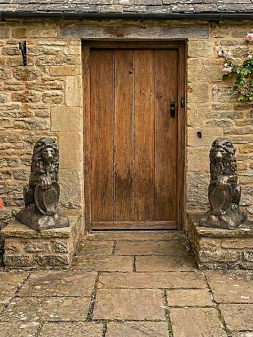 Форма Лев Большой АБС
